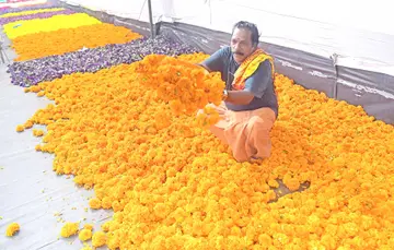 ഓണം അടുത്തതോടെ സജീവമായ പാളയത്തെ പൂ മൊത്തവിപണിയിൽനിന്ന് 