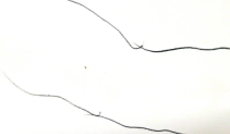PENSIL LINE