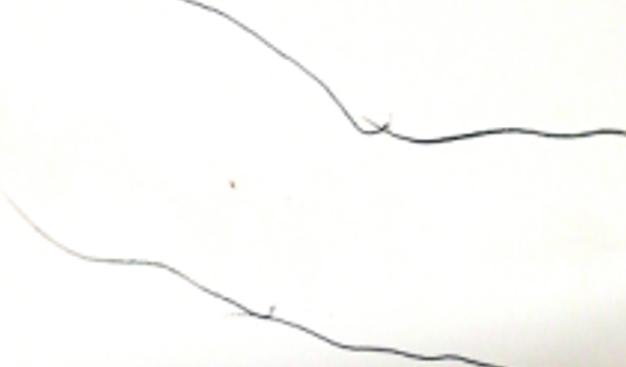 PENSIL LINE