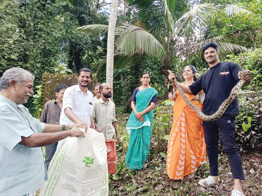 പെരുമ്പാമ്പ്