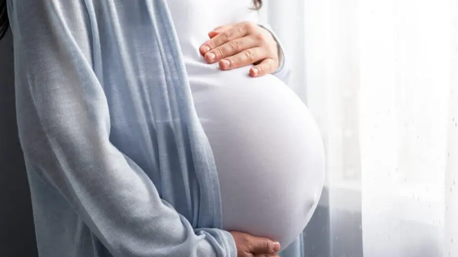 PREGNANT LADY