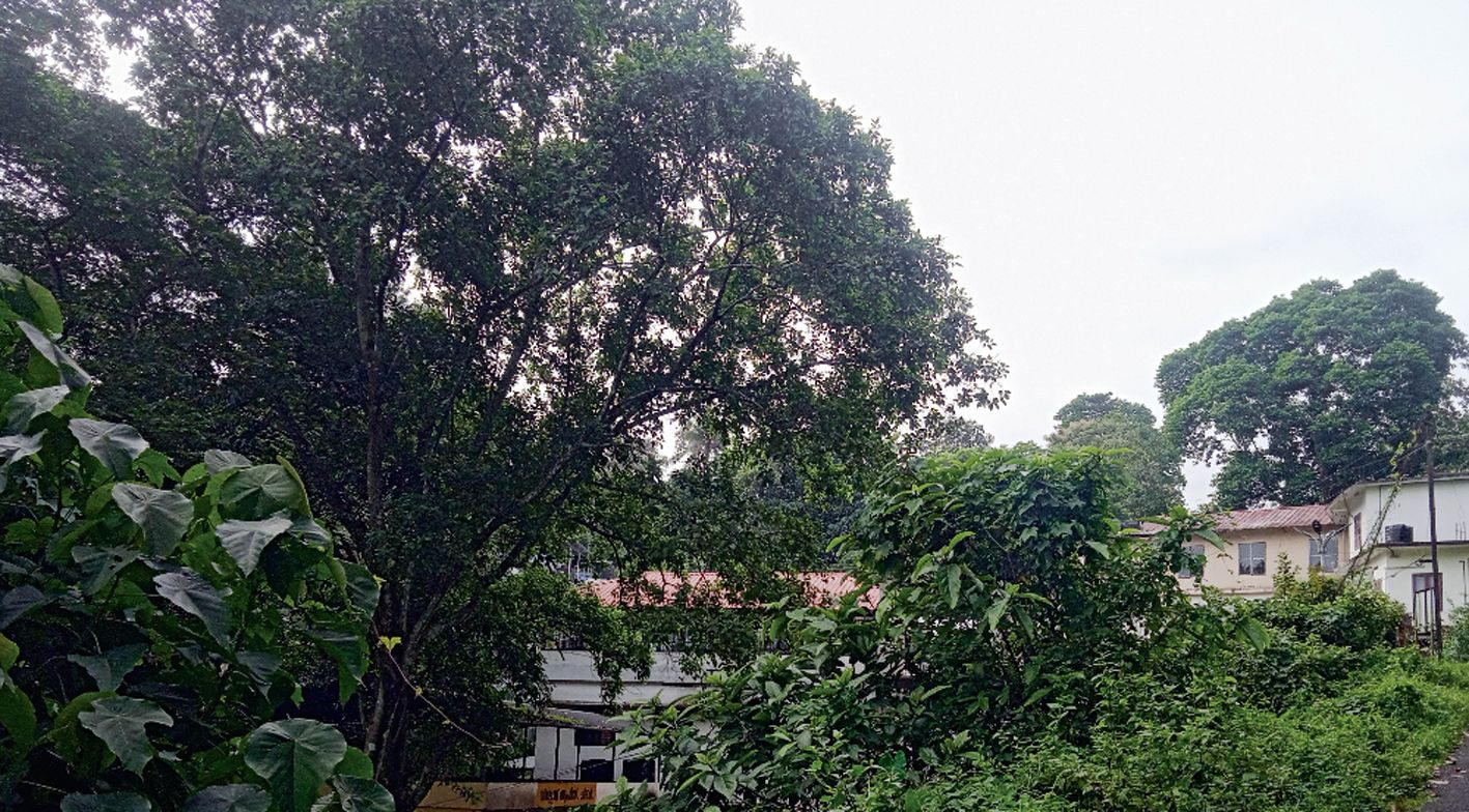Chittar Panchayat Office