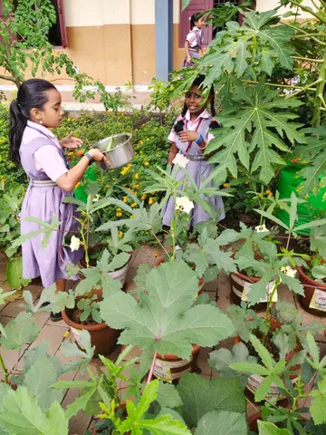 Pulikkal AMMLP School shines with awards again