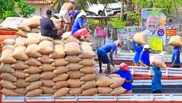 Paddy Loading Photo K S Anand