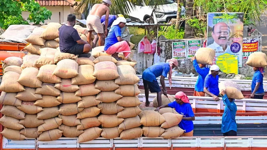 Paddy Loading Photo K S Anand