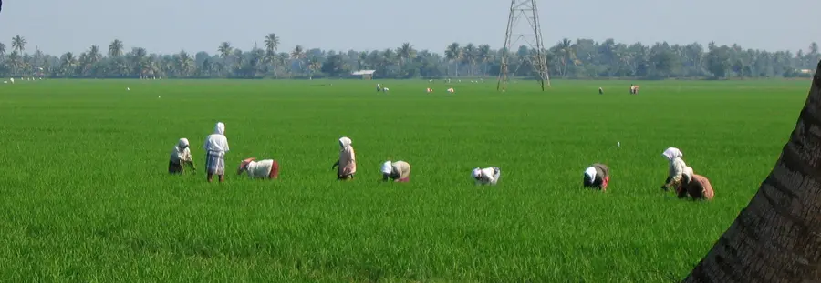 തരിശുരഹിത ഗ്രാമം