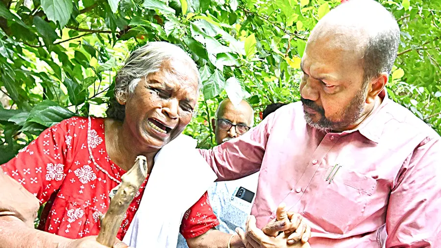 Pariyathukaavu.jpg