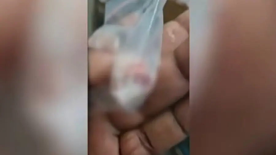 Pathalam Finger Bitten Off Thief