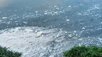 Periyar River