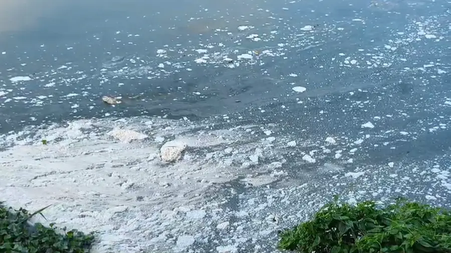 Periyar River