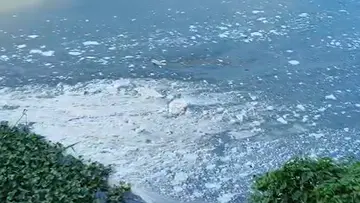 Periyar Pollution