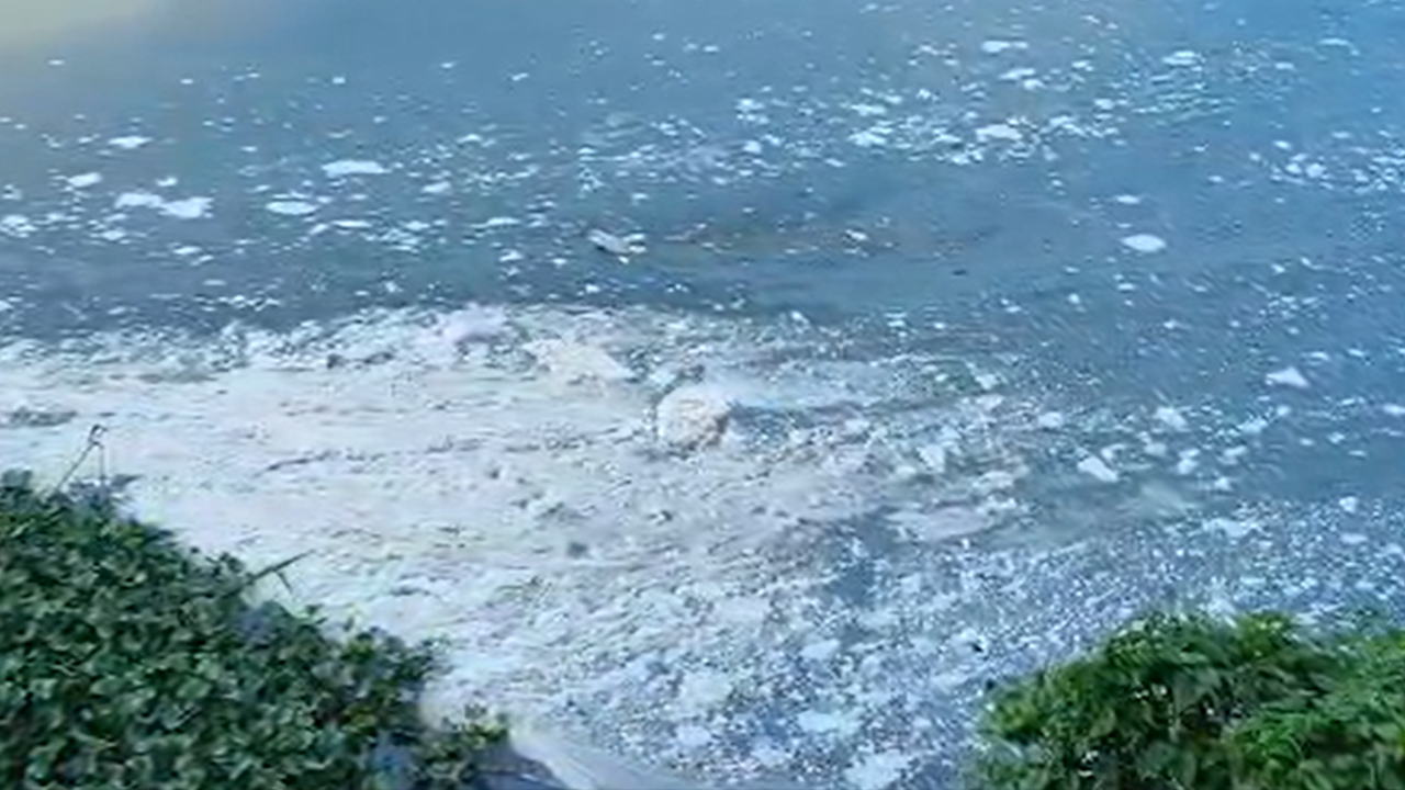 Periyar Pollution