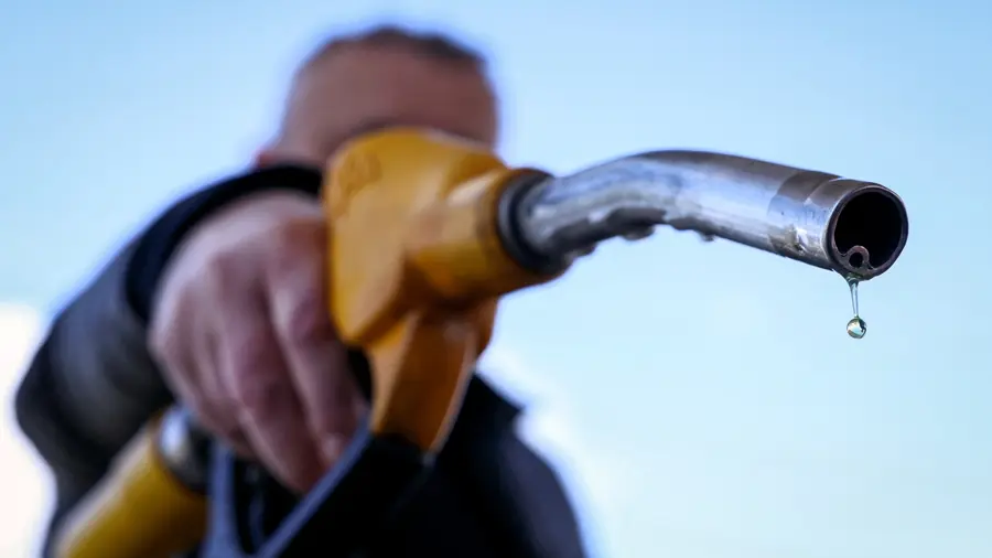 Petrol Fuel Pump
