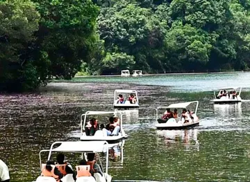പൂക്കോട് 