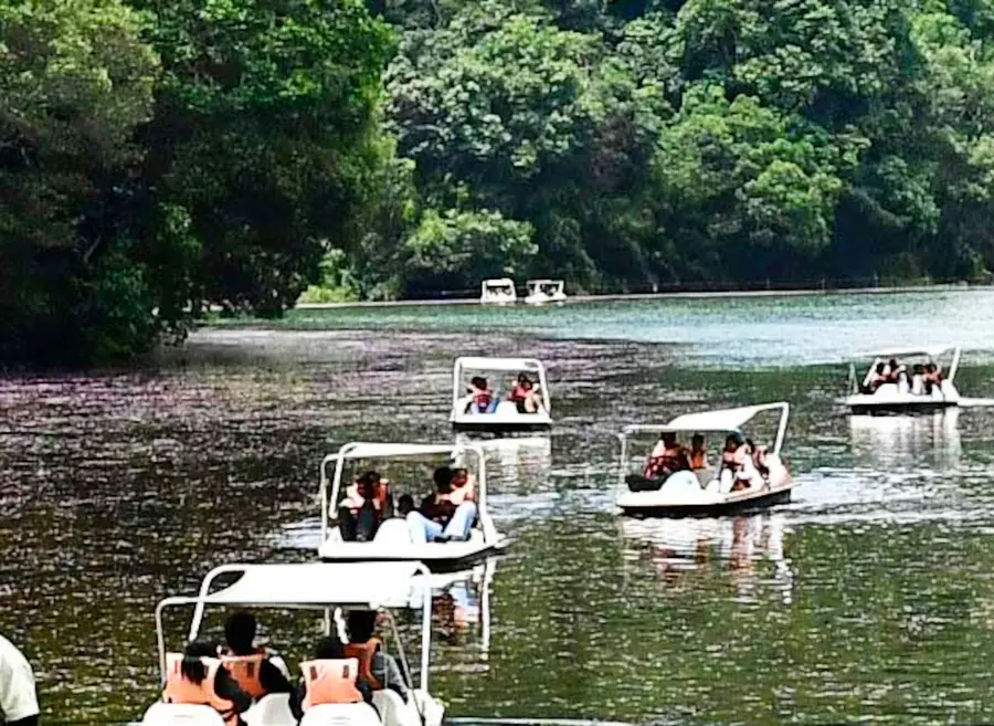പൂക്കോട്