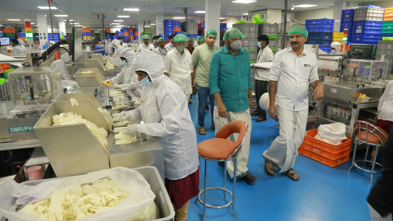 P rajeev glove