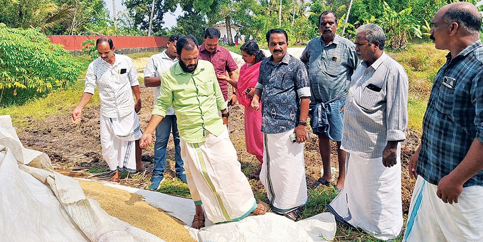 നെല്ല് സംഭരണം വൈകുന്ന കരുവാറ്റ പുളുമ്പേക്കരി പാടശേഖരം  കർഷക സംഘം ജില്ലാ സെക്രട്ടറി സി ശ്രീകുമാർ ഉണ്ണിത്താൻ സന്ദർശിക്കുന്നു