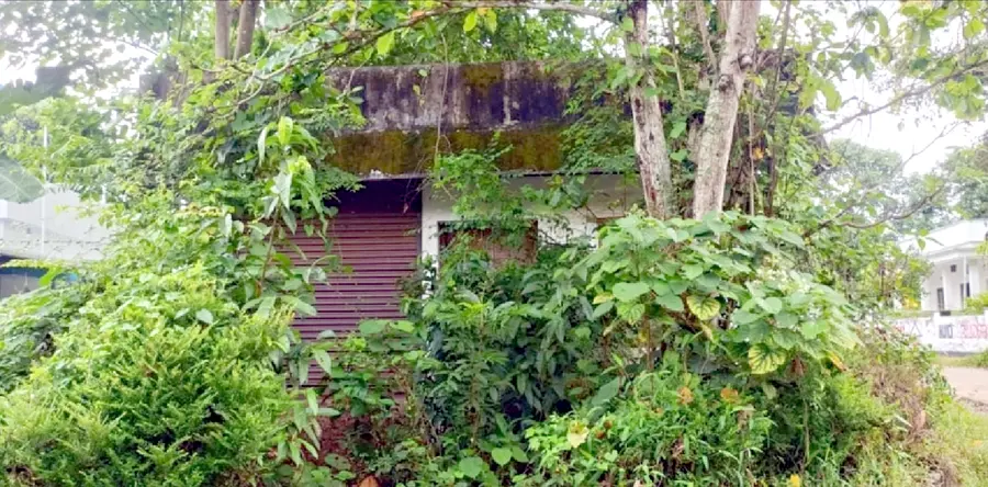 കോടശേരി പഞ്ചായത്തിലെ കാടുകയറി നശിക്കുന്ന ചൂരല്, മുള തൊളിലാളി സഹകരണ സംഘം കെട്ടിടം