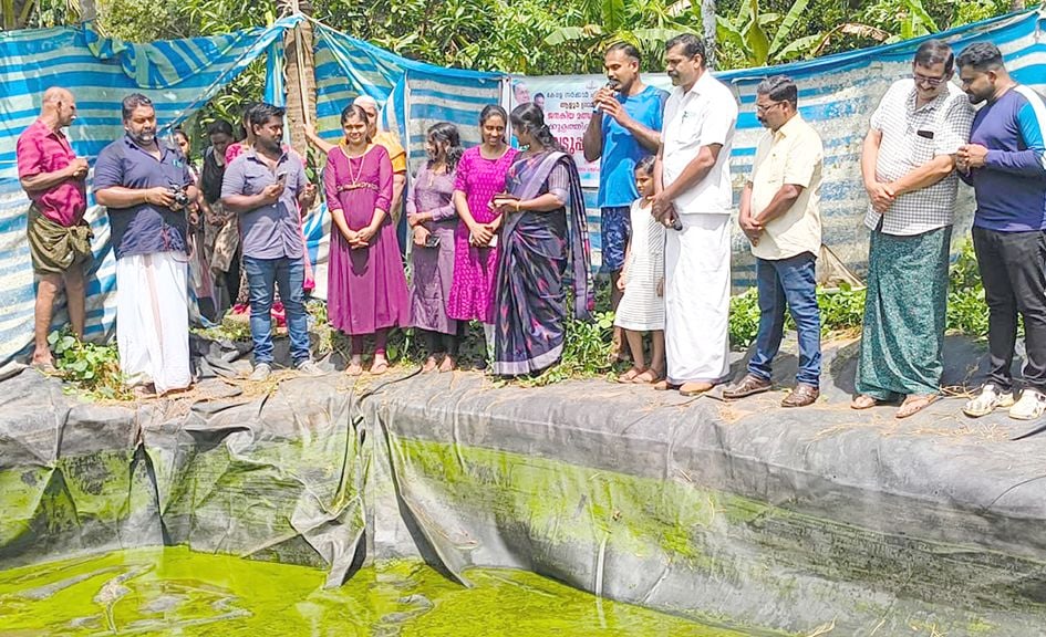 ആളൂർ പഞ്ചായത്തിൽ സുഭിക്ഷ കേരളം പദ്ധതിയുടെ ഭാഗമായി മത്സ്യകൃഷി വിളവെടുപ്പ്  പ്രസിഡന്റ് കെ ആർ ജോജോ ഉദ്ഘാടനം ചെയ്യുന്നു