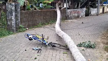 കെഎസ്ആര്‍ടിസി സ്റ്റാന്റിന് സമീപം കനാല്‍ബണ്ട് റോഡില്‍  തെങ്ങിനടിയില്‍പെട്ട സൈക്കിള്‍