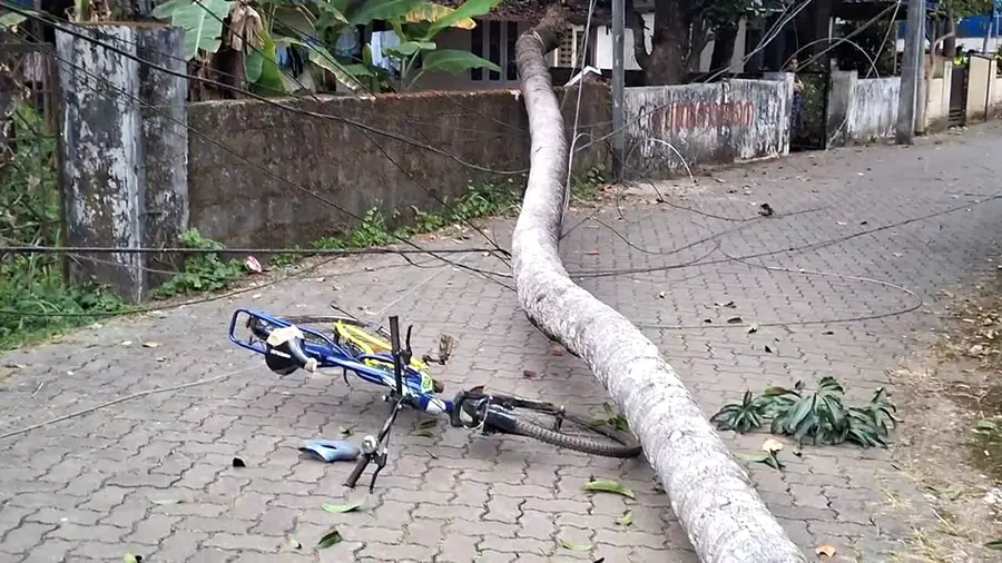 കെഎസ്ആര്‍ടിസി സ്റ്റാന്റിന് സമീപം കനാല്‍ബണ്ട് റോഡില്‍  തെങ്ങിനടിയില്‍പെട്ട സൈക്കിള്‍