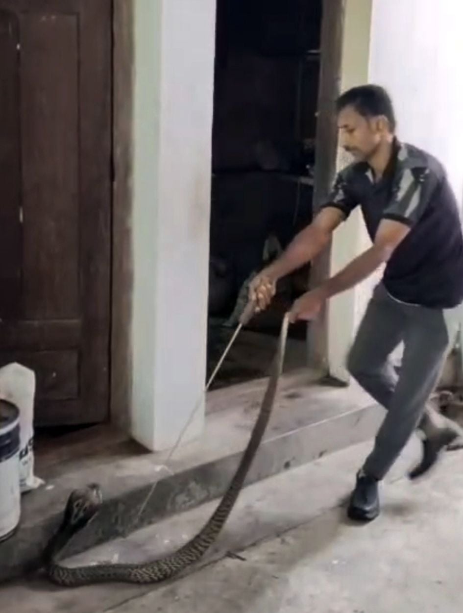 അനില്‍കുമാറിന്റെ വീടിന്റെ അടുക്കള ഭാഗത്ത് നിന്ന്‌  മൂര്‍ഖന്‍ പാമ്പിനെ പിടികൂടുന്നു