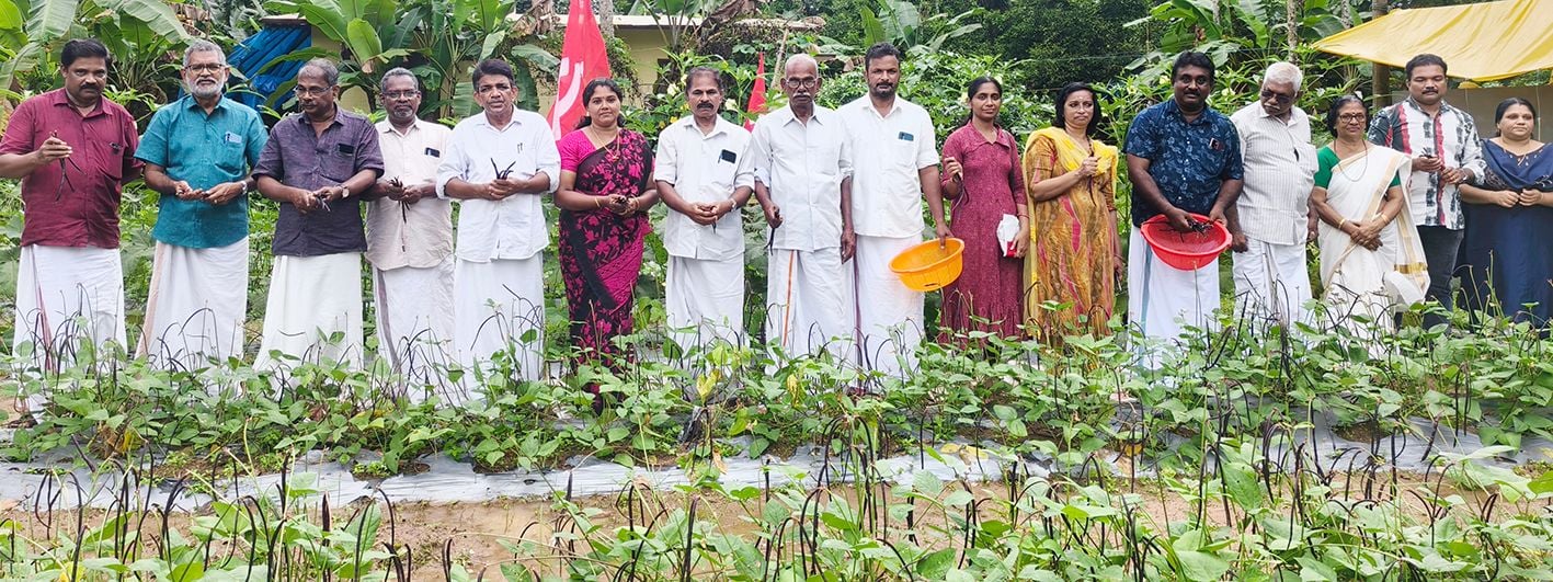 വിഷരഹിത പച്ചക്കറി വിളവെടുപ്പിന് തുടക്കം