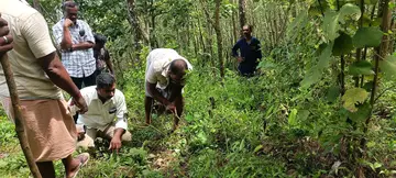 മാങ്കുറ്റിപാടത്ത് ഫോറസ്റ്റ് ഉദ്യോഗസ്ഥർ പരിശോധന നടത്തുന്നു