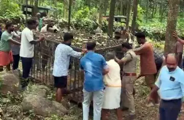 മാങ്കുറ്റിപ്പാടത്ത് വനംവകുപ്പിന്റെ നേതൃത്വത്തിൽ കൂട് സ്ഥാപിക്കുന്നു