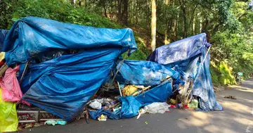 അതിരപ്പിള്ളിയില്‍ കാട്ടാനക്കൂട്ടം നശിപ്പിച്ച കച്ചവട സ്ഥാപനങ്ങള്‍