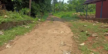 തകര്‍ന്ന കപ്പേളക്കുന്ന് കനാല്‍ ബണ്ട് റോഡ്‌