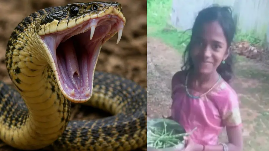 RAJESWARI Snak BITE.jpg