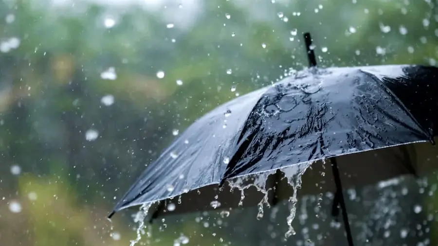 Rain.jpg