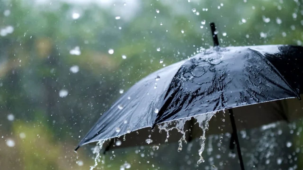 Rain.jpg