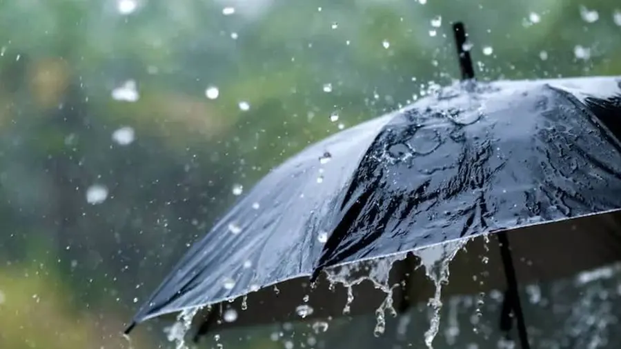 Rain.jpg