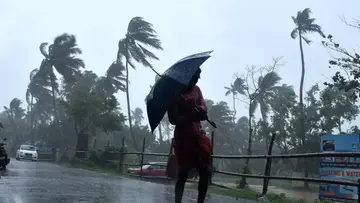 Rain.jpg
