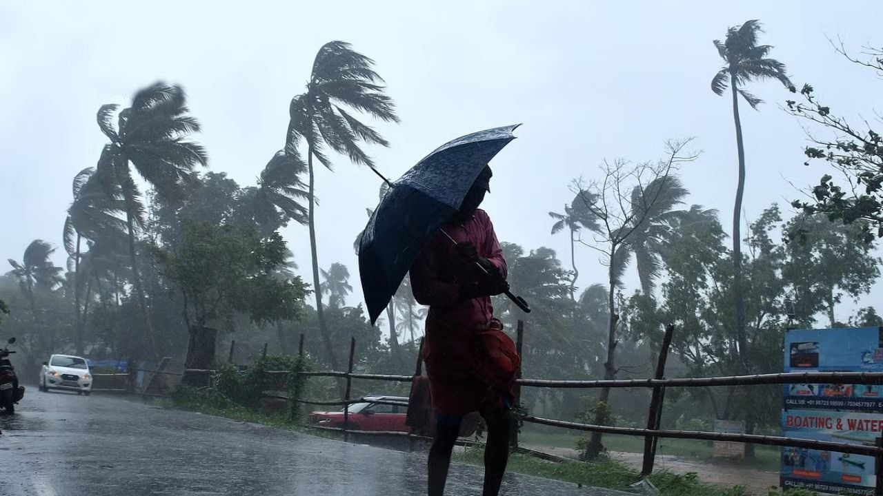 Rain.jpg