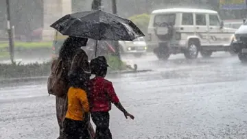Rain.jpg