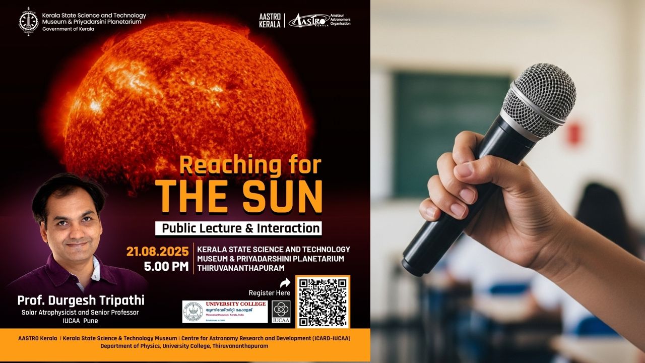 Reaching for the sun