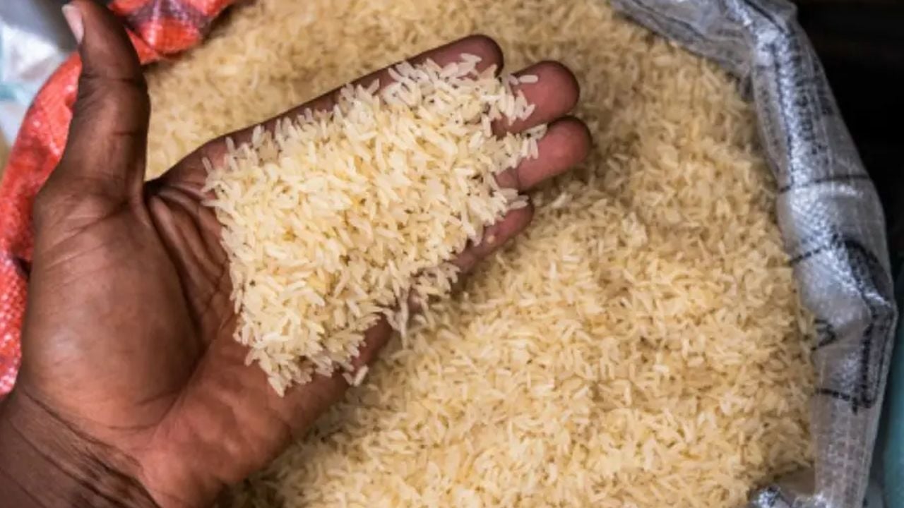 Rice.jpg