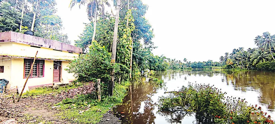 കണ്ടിയൂർ കുരുവിക്കാട് പ്രദേശത്ത് വീടുകളിലേക്കുള്ള റോഡ് മുങ്ങിയ നിലയിൽ