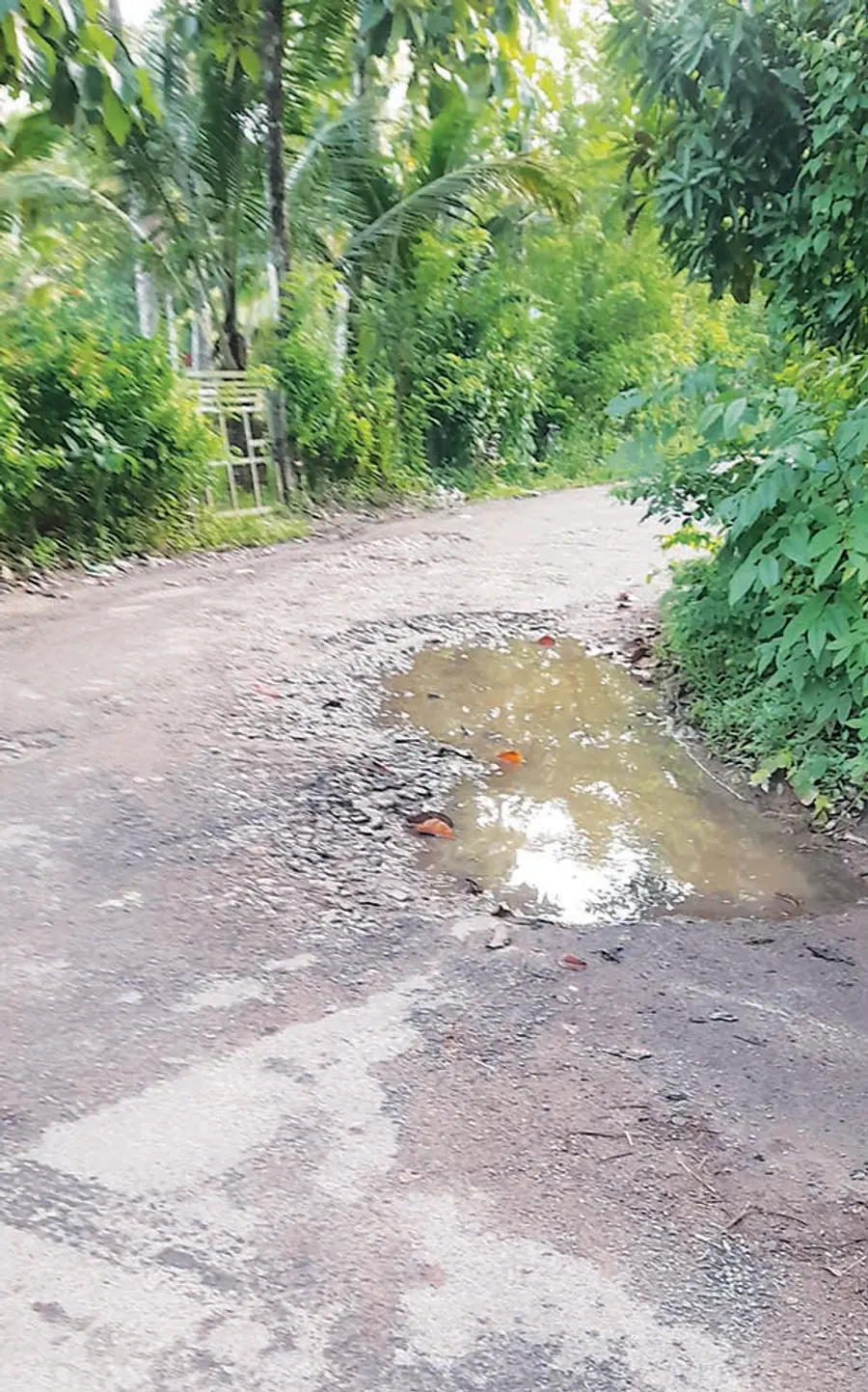തകര്ന്ന മുതുകുളം മുരിങ്ങച്ചിറ - കൊല്ലകൽ റോഡ്