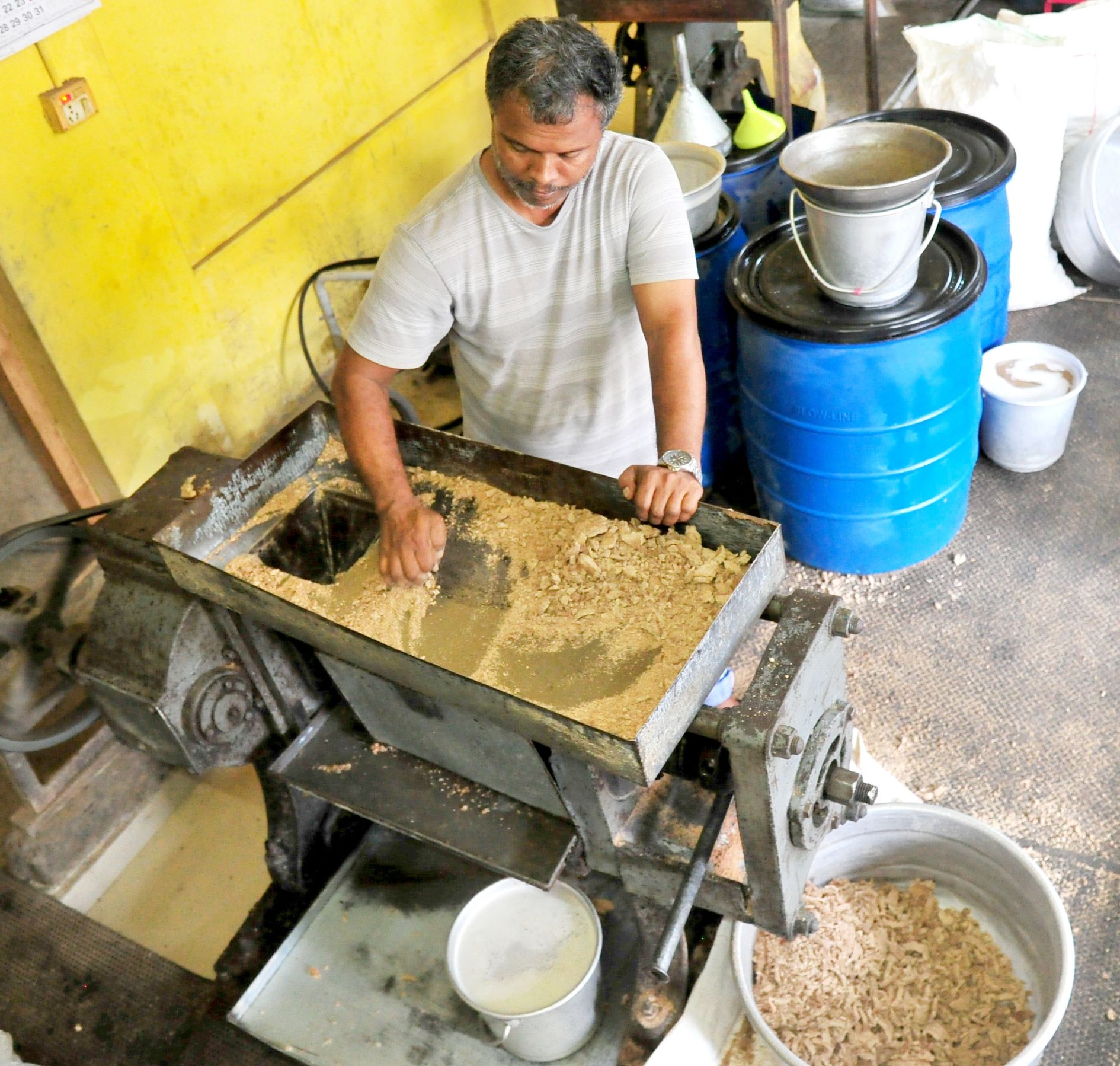 High price of coconut