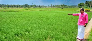 Elavanchery's 'Elav'
