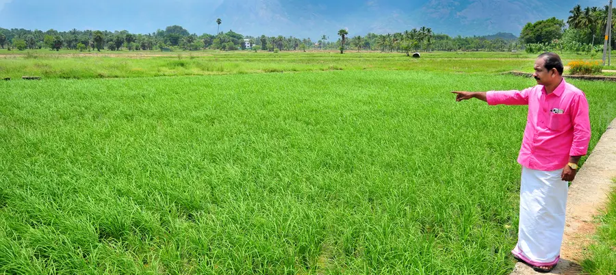 Elavanchery's 'Elav'