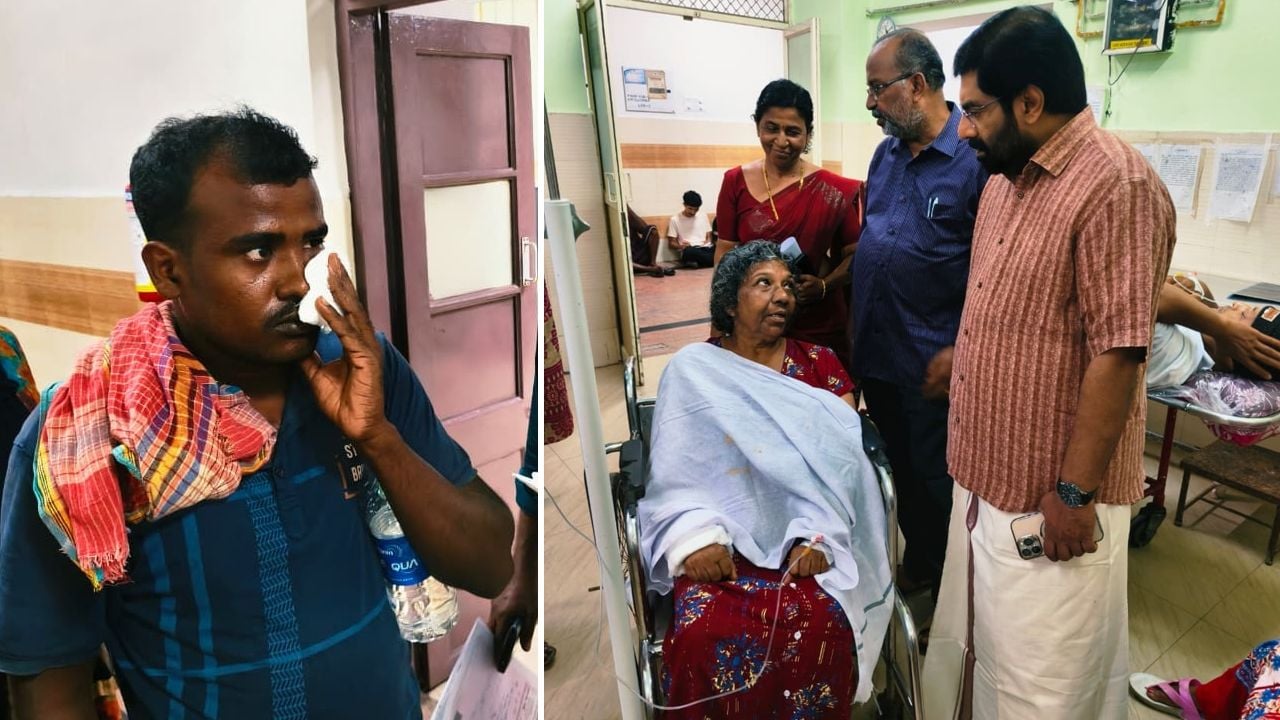 STRAY DOG ATTACK KATTAYIKKONAM