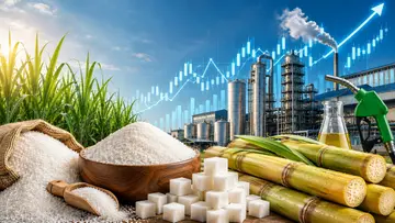 SUGAR STOCK