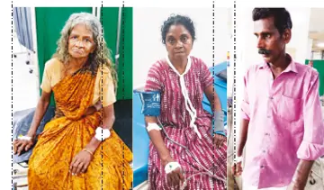 തെരുവുനായ