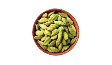 Screenshot from 2025-11-23 00-14-30