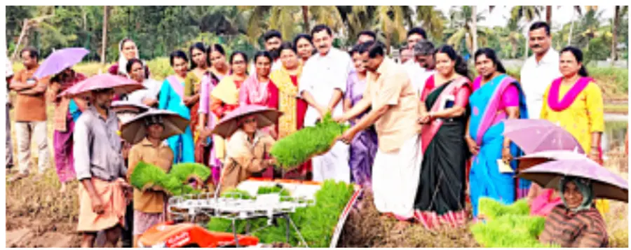 വീയപുരം വിത്തുൽപ്പാദന കേന്ദ്രത്തിൽ യന്ത്രമുപയോഗിച്ച് ഞാറുനടീൽ ജില്ലാ പഞ്ചായത്ത് പ്രസിഡന്റ്
എ മഹേന്ദ്രൻ ഉദ്ഘാടനംചെയ്യുന്നു